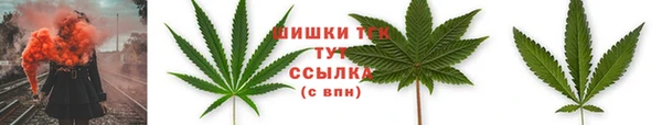 винт Богородицк